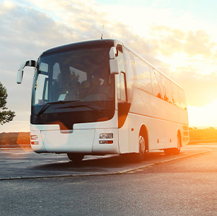 12 Seater Mini Bus Hire