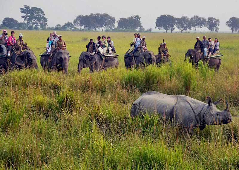 Golden Triangle Tour With Wildlife