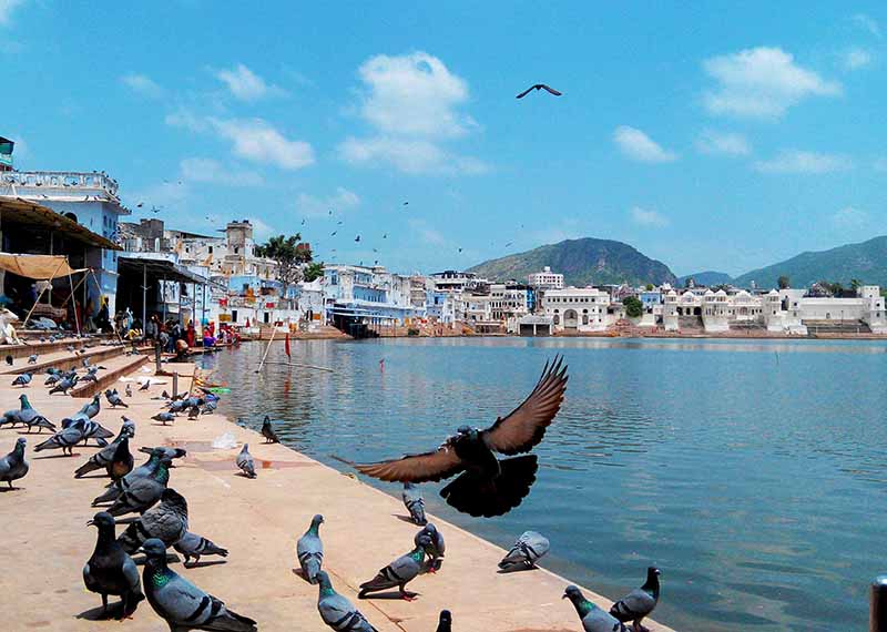 Golden Triangle Tour With Pushkar