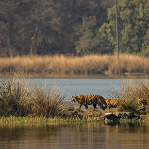 Maharashtra 11 Days Tour By Car